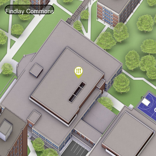Open interactive map centered on Findlay Commons in a new tab